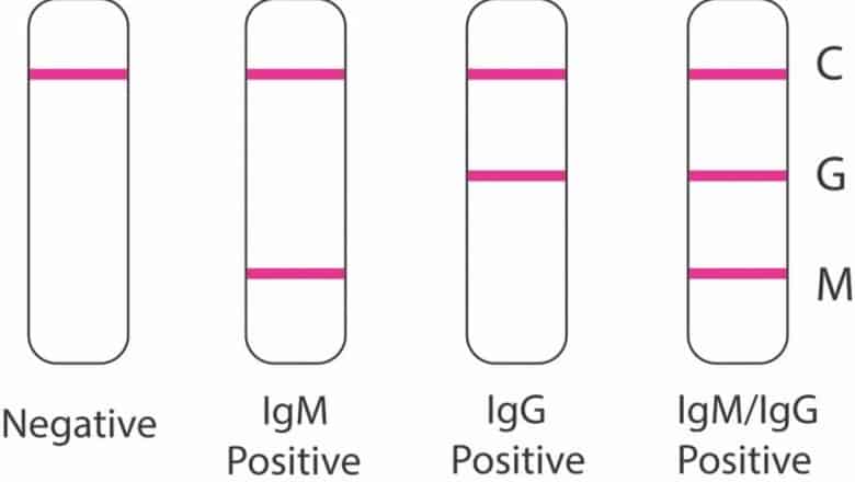 pcr covid test vs rapid test