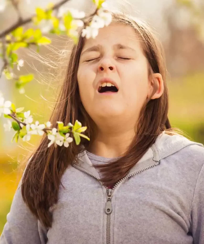 MH-Hayfever-2025-05